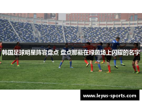 韩国足球明星阵容盘点 盘点那些在绿茵场上闪耀的名字